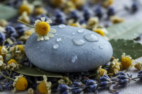 Diet & Hives: Can Food Soothe Skin in 2026?