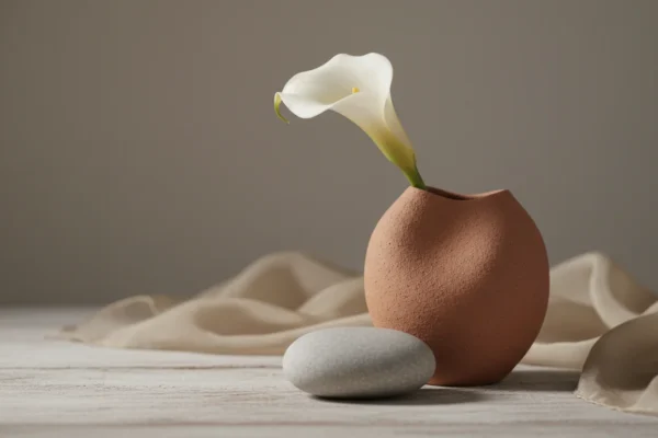 Esthetician Trust: 5 Keys to Client Comfort in 2026