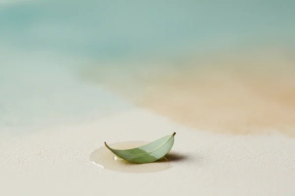 Eucalyptus Oil: A 2025 Post-Wax Soothe Solution