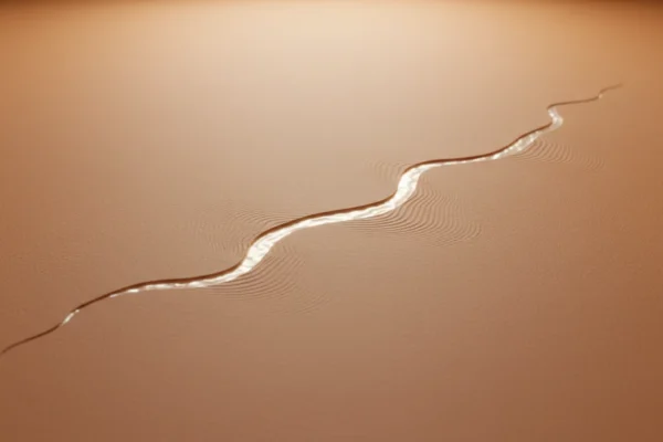 ZO Skin Health: Waxing Market Shake-Up in 2024