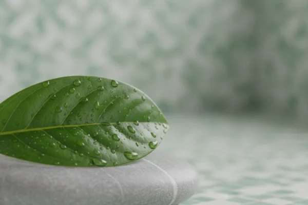 Moisturizing Cleansers: 2026 Skincare Essential