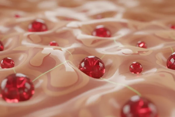 Pomegranate Bioactives: Skin Comfort in 2026