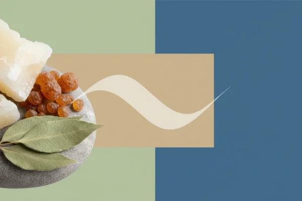 Talc-Free Wax: 72% of Consumers Drive 2025 Shift